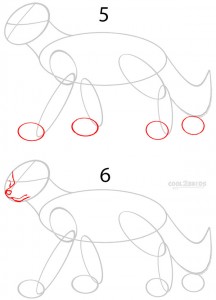 How to Draw a Cartoon Wolf Step 3