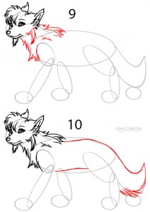 How to Draw a Cartoon Wolf Step 5