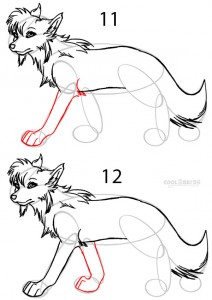 How to Draw a Cartoon Wolf Step 6