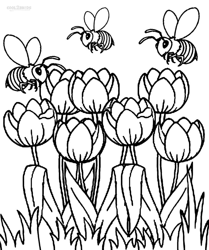 Printable Tulip Coloring Pages For Kids