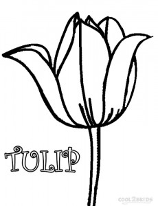 Simple Tulip Coloring Page
