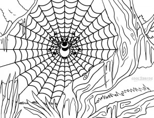 Spider Web Coloring Pages