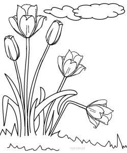 Tulip Coloring Page