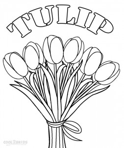 Tulip Coloring Pages