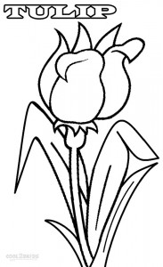 Tulip Coloring Pages Printable