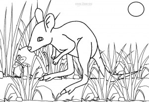 Baby Kangaroo Coloring Pages