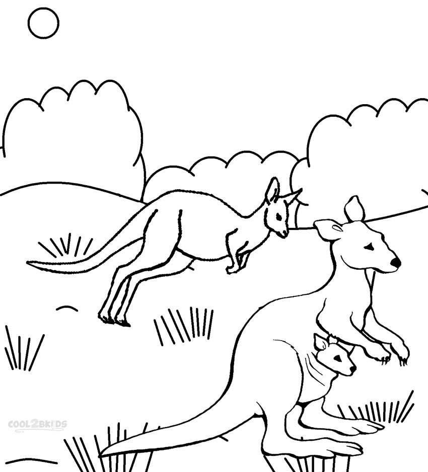 Printable Kangaroo Coloring Pages For Kids Printable Kangaroo Coloring Pages For Kids