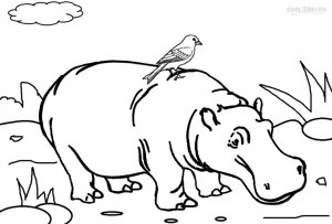 Hippo Coloring Pages Printable