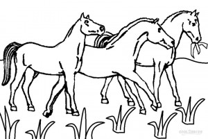 Horseland Horses Coloring Pages