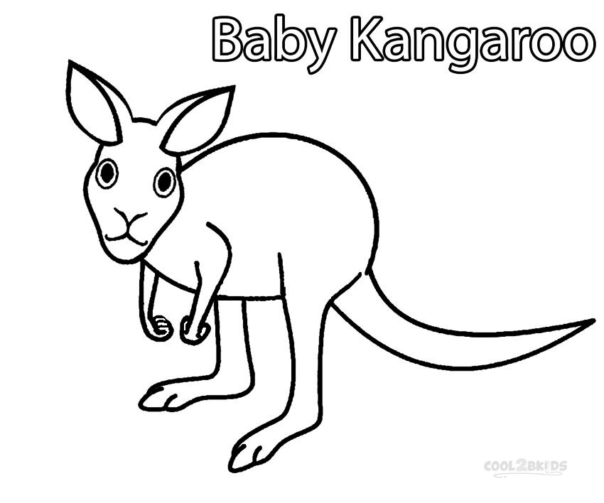 Download Printable Kangaroo Coloring Pages For Kids