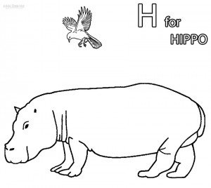 Pygmy Hippo Coloring Pages