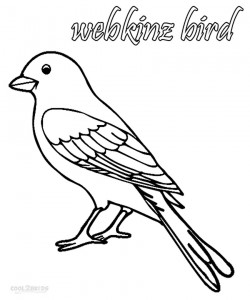 Webkinz Bird Coloring Pages