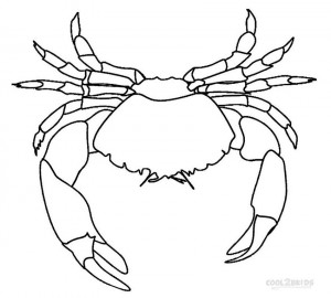 Spider Crab Coloring Pages