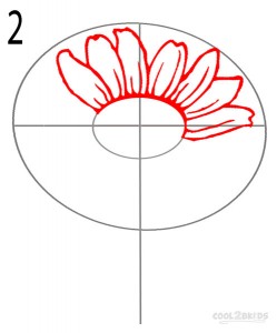 How to Draw a Sunflower Step 2