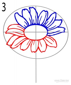 How to Draw a Sunflower Step 3