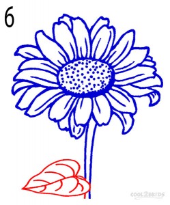 How to Draw a Sunflower Step 6