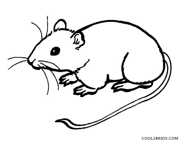 Printable Mouse Coloring Pages For Kids