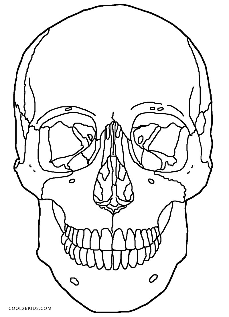 Printable Skulls Coloring Pages For Kids