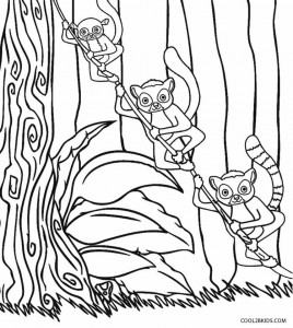 Madagascar Lemur Coloring Pages