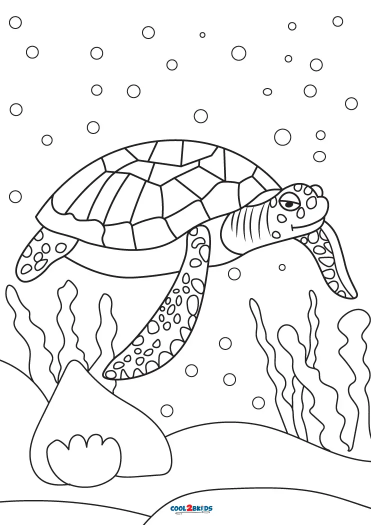 Detailed Sea Turtle Advanced Coloring Page