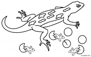 Baby Lizard Coloring Pages