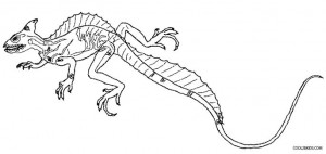 Basilisk Lizard Coloring Pages