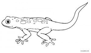 Coloring Pages of Lizard