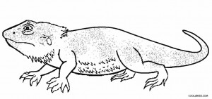 Desert Lizard Coloring Pages