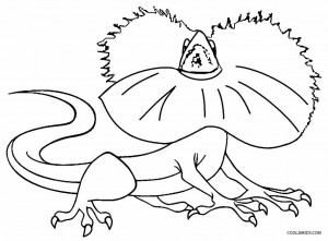 Frilled Lizard Coloring Pages