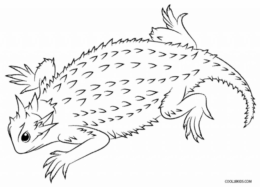 Printable Lizard Coloring Pages For Kids