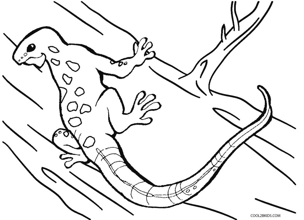 lizard coloring printable drawing cool2bkids getdrawings results