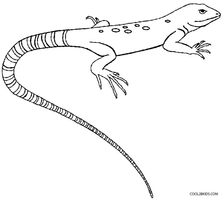 Printable Lizard Coloring Pages For Kids