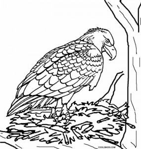 Baby Eagle Coloring Pages