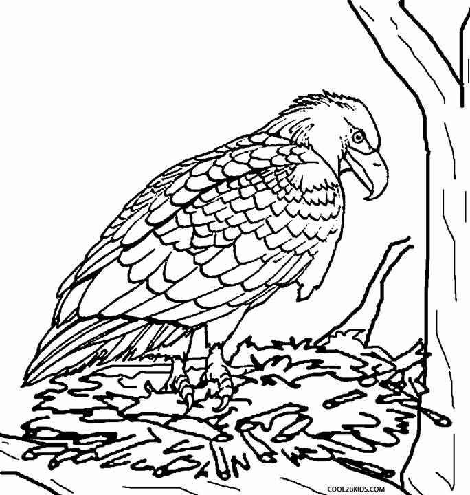 Printable Eagle Coloring Pages For Kids