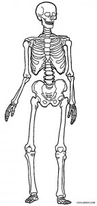 Human Skeleton Coloring Pages