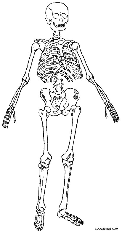 Skeleton Coloring Pages 2