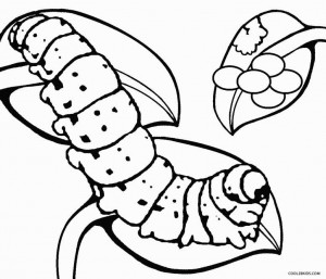 Caterpillar Egg Coloring Pages