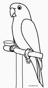 Baby Parrot Coloring Pages