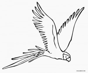 Flying Parrot Coloring Pages