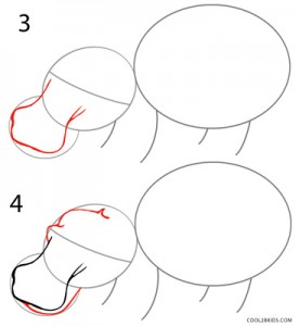 How to Draw a Hippo Step 2