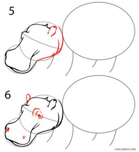 How to Draw a Hippo Step 3