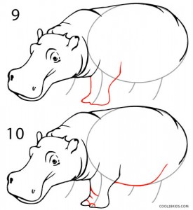 How to Draw a Hippo Step 5