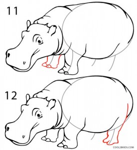 How to Draw a Hippo Step 6