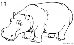 How to Draw a Hippo Step 7