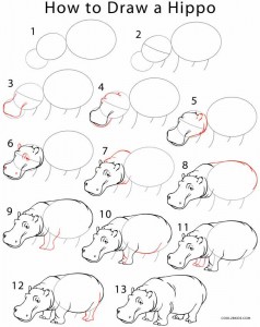 How to Draw a Hippo Step by Step