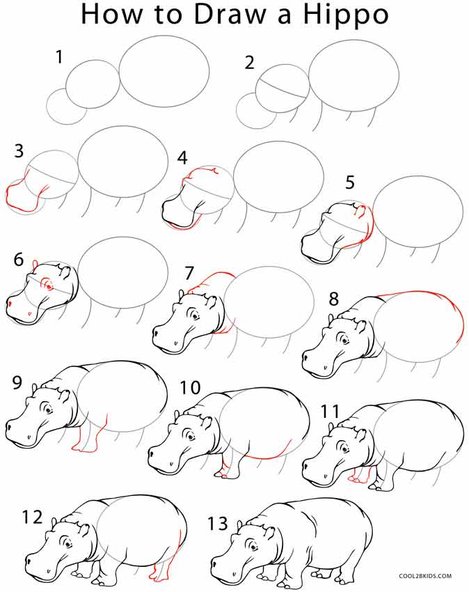 Top How To Draw A Hippo Don t miss out | howdrawart3