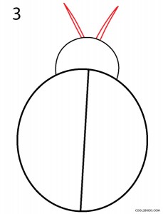 How to Draw a Ladybug Step 3