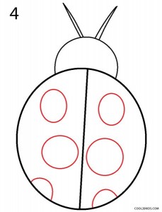 How to Draw a Ladybug Step 4