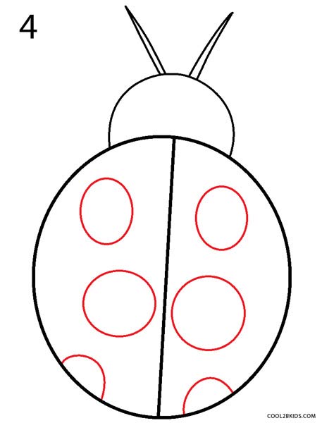 How to Draw a Ladybug (Step by Step Pictures)