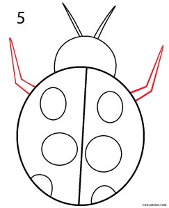 How to Draw a Ladybug Step 5